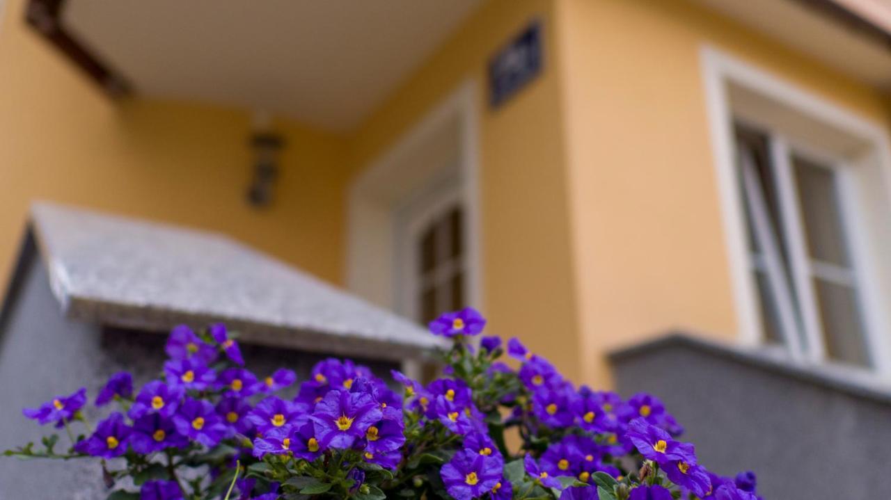 Ferienwohnung Claudia Salzburg Buitenkant foto
